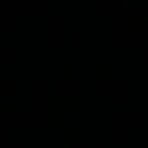 Meet your Posher, Chiedza